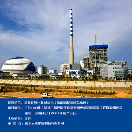 黑龍江綏化北林熱電(濟南鍋爐集團總承包)