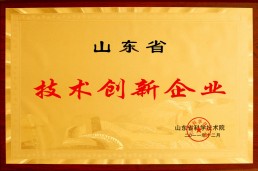 技術(shù)創(chuàng)新企業(yè)