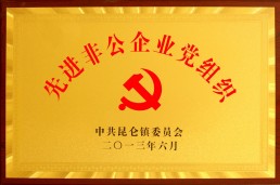 先進(jìn)非公黨組織